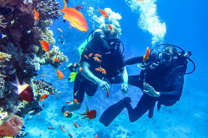 Scuba Diving in Mount Lavinia - Photo 1 of 7